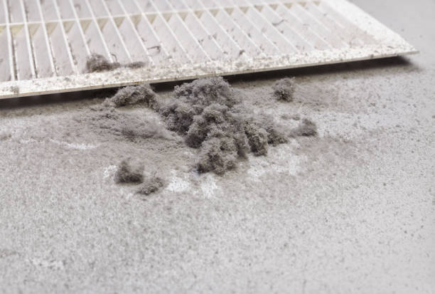 Best Residential Air Duct Cleaning  in Anamosa, IA