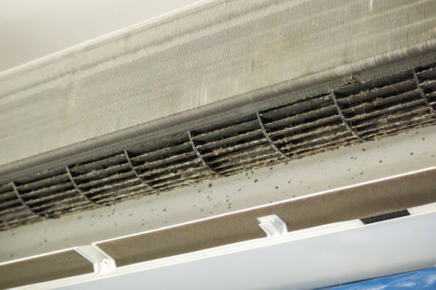 Best Air Vent Cleaning Services  in Anamosa, IA